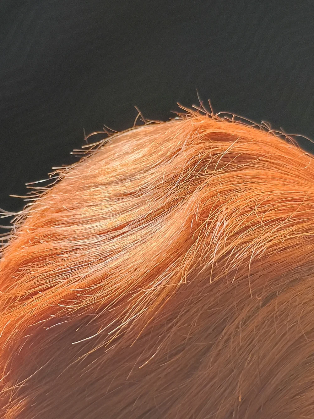 Short Layered Women's Wig in Vibrant Copper Red